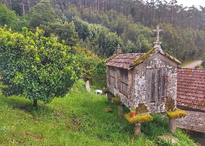 Flor Armenteira * A Armenteira